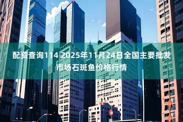 配资查询114 2025年11月24日全国主要批发市场石斑鱼价格行情