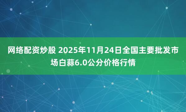 网络配资炒股 2025年11月24日全国主要批发市场白蒜6.0公分价格行情